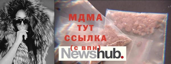шишки Бикин