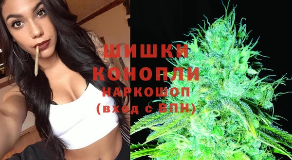 тгк Няндома