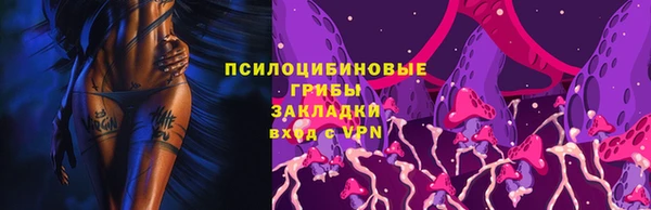 apvp Нязепетровск