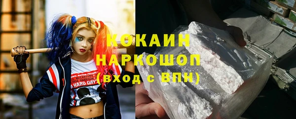 тгк Няндома