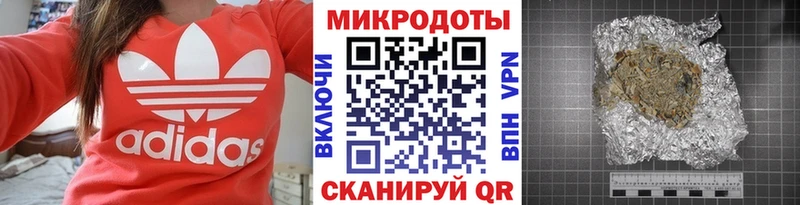 Галлюциногенные грибы Psilocybine cubensis  Сергач 